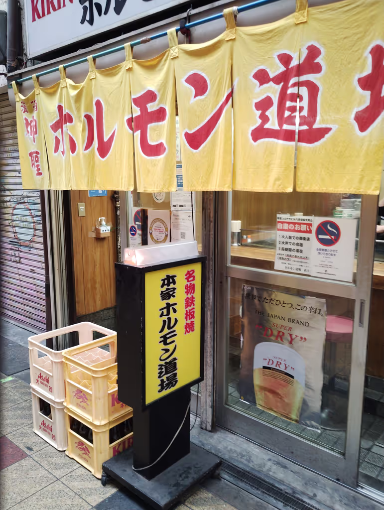 Osaka Private Tour - null