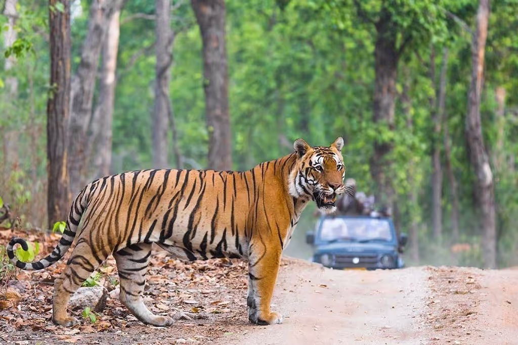 Delhi Private Tour - 