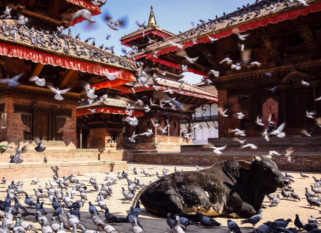 Kathmandu Private Tour - Kathmandu Durbar Square