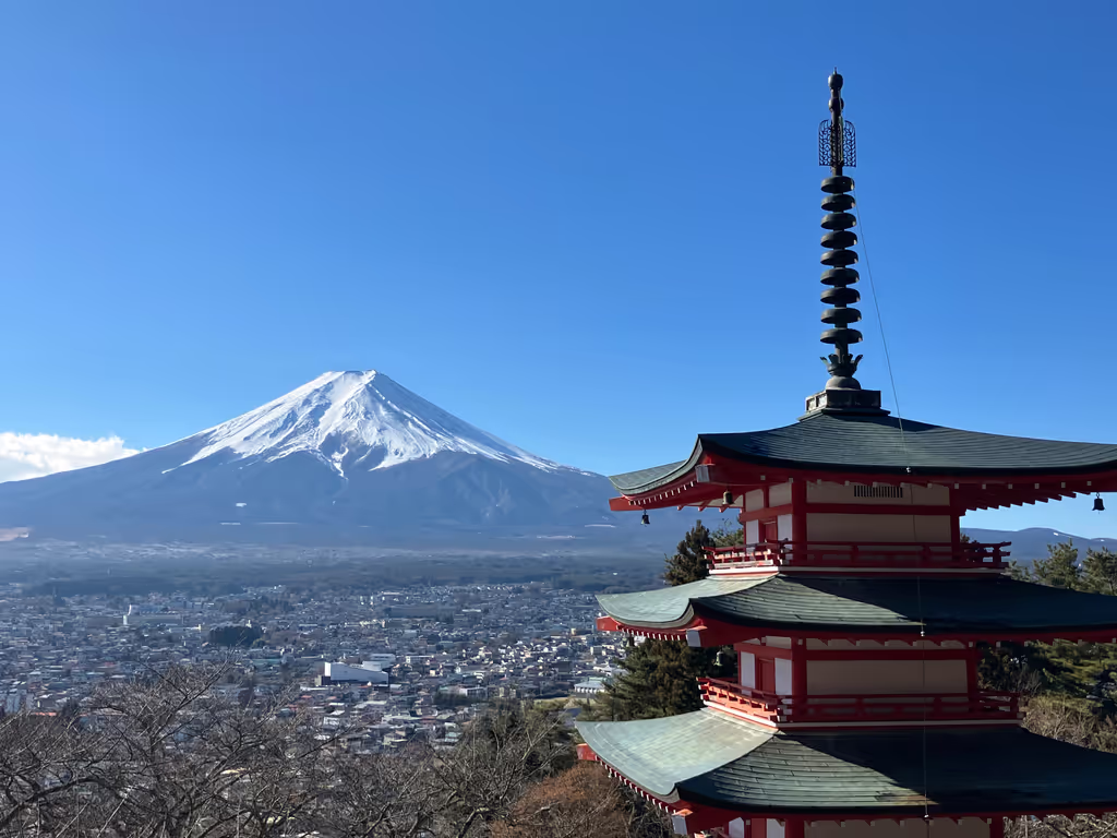 Tokyo Private Tour - World famous view of Mt Fuji & pagoda
