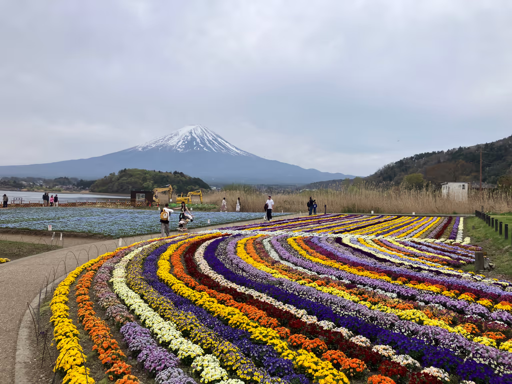 Tokyo Private Tour - Oishi Park