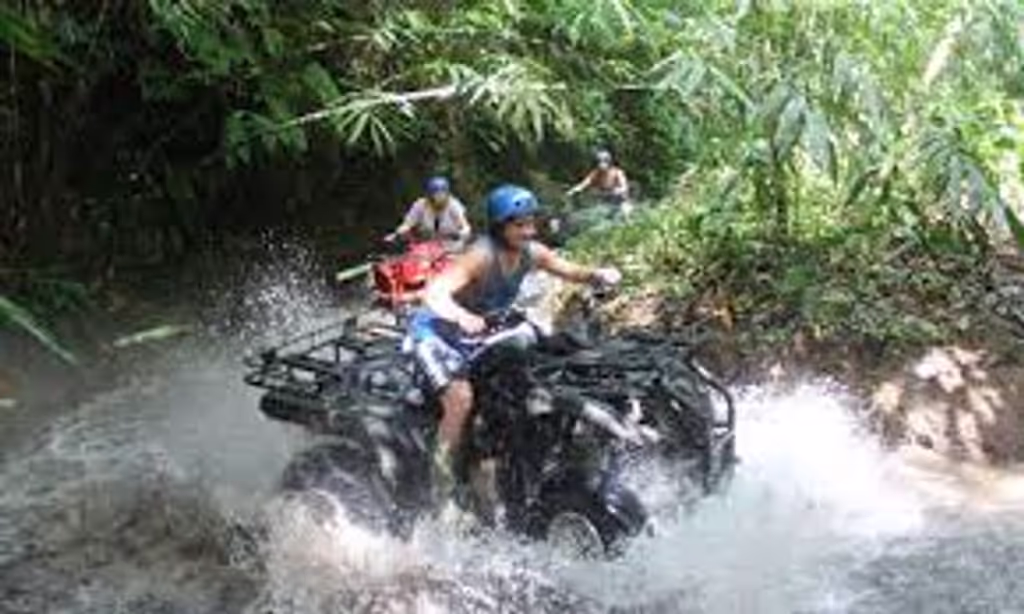 Bali Private Tour - null