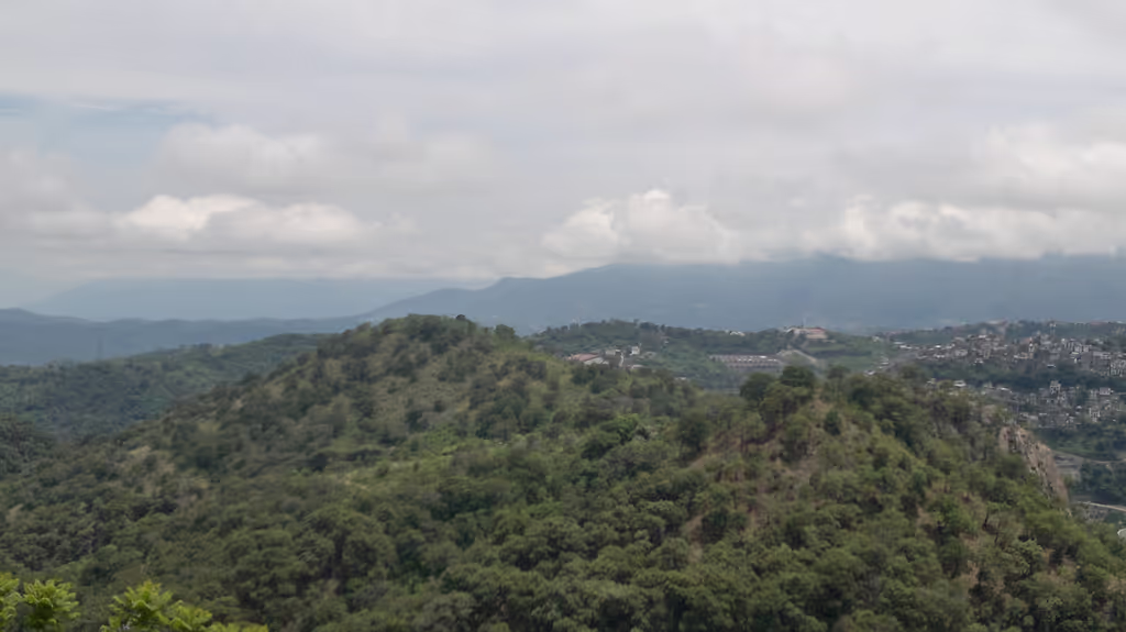 Mexico City Private Tour - Green areas, animals and insects of the tropics