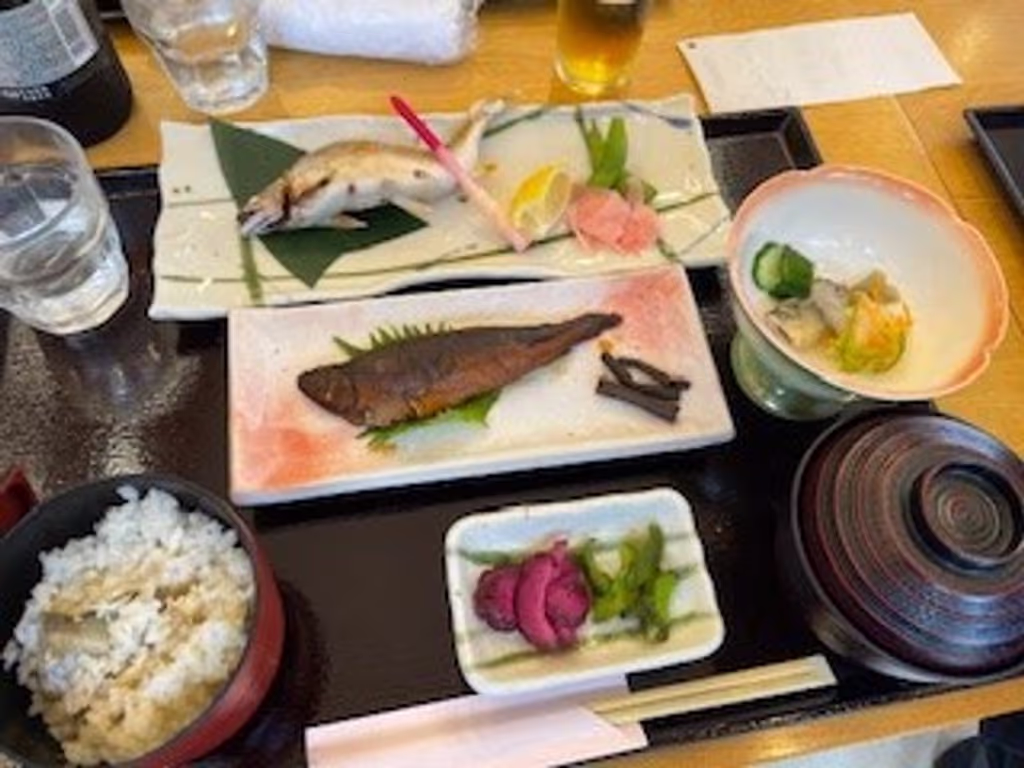 Gifu Private Tour - Ayu lunch
