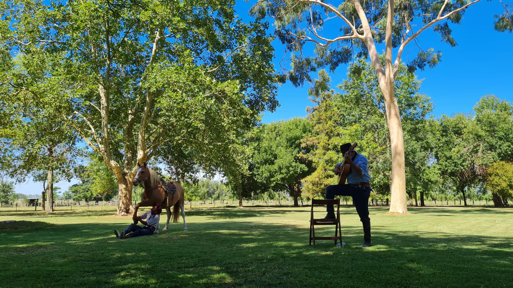 Buenos Aires Private Tour - null