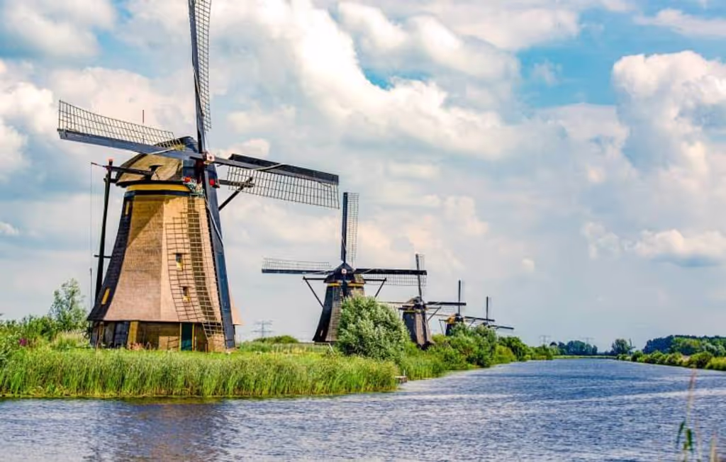 Rotterdam Private Tour - Kinderdijk landscape