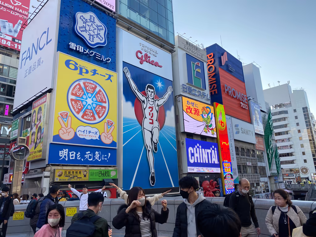 Osaka Private Tour - null