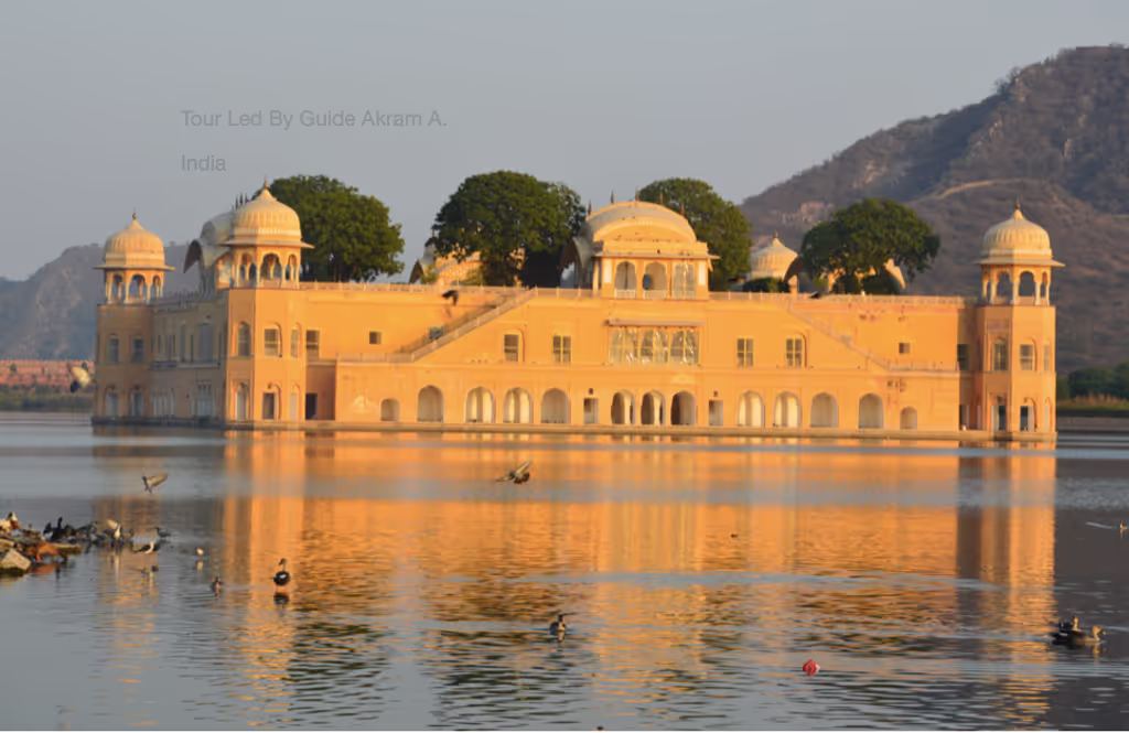 Delhi Private Tour - JalMahal
