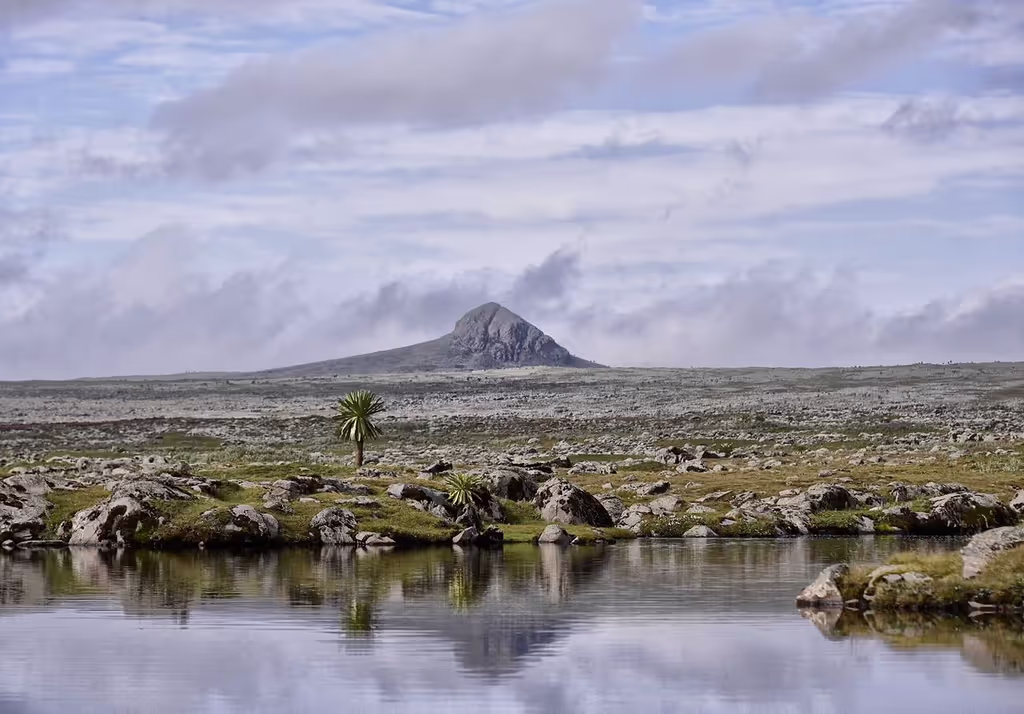 Addis Ababa Private Tour - Tulu Dimtu peak in Bale NP 4377masl, at a distance.