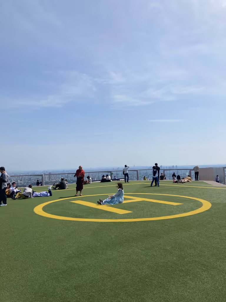 Tokyo Private Tour - null