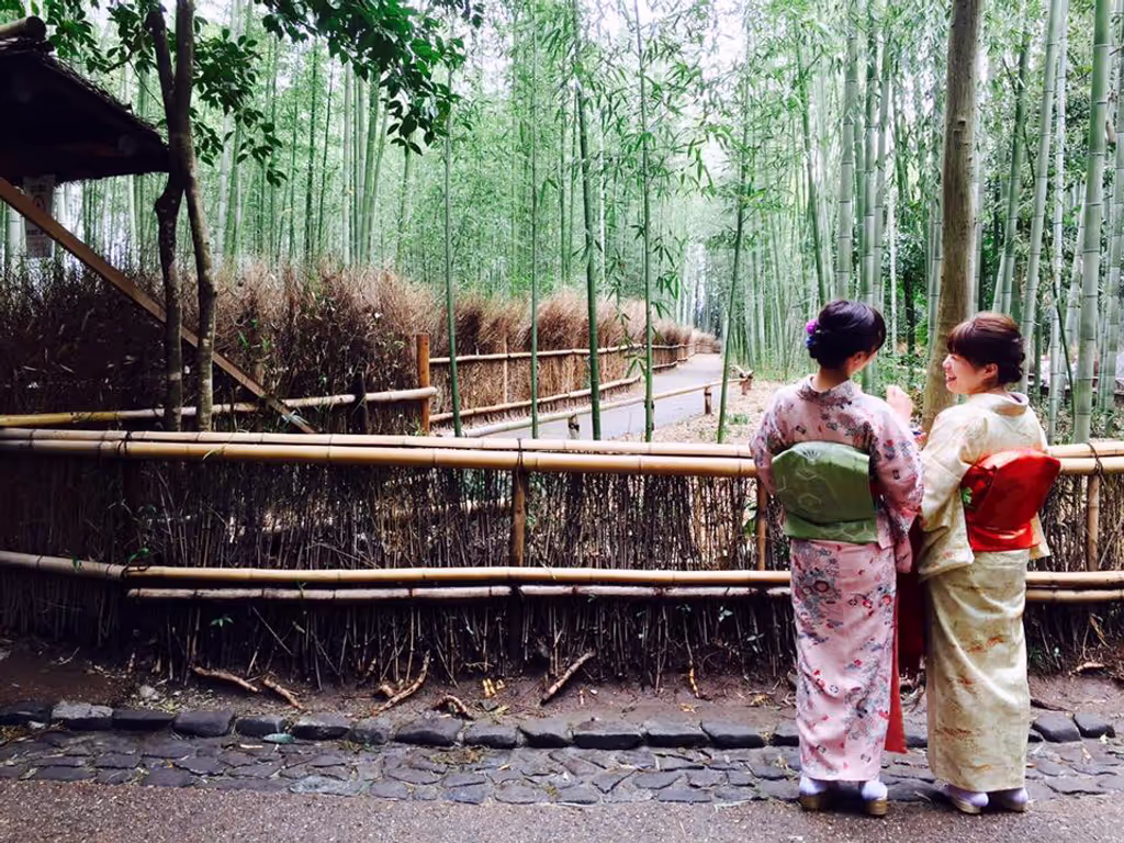 Kyoto Private Tour - Bamboo