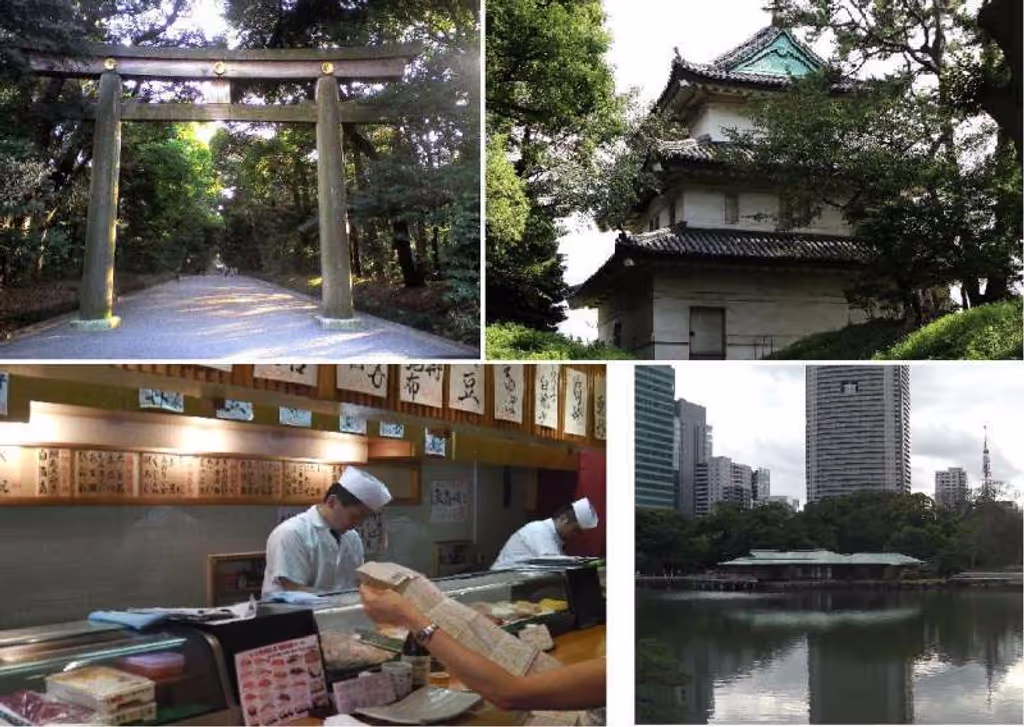 Tokyo Private Tour - Tokyo tour a la carte half day