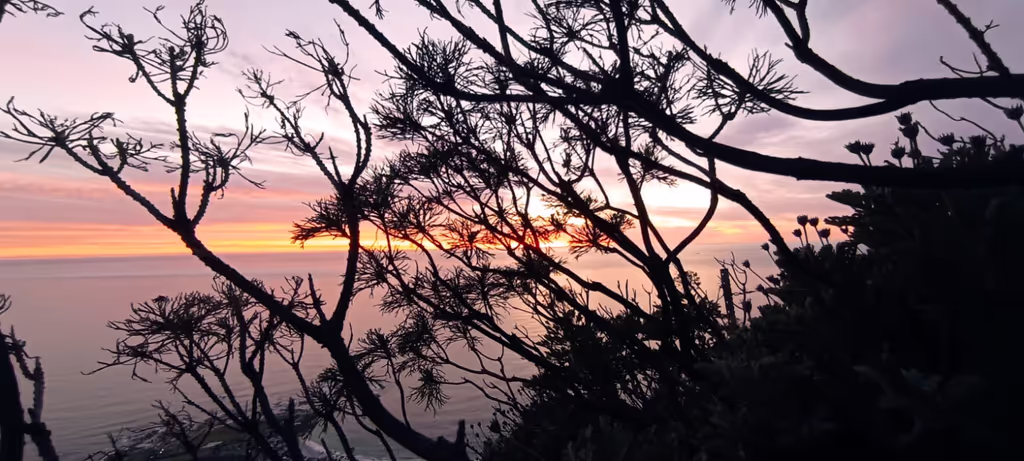 Cape Town Private Tour - Sunset from Lion's Head.