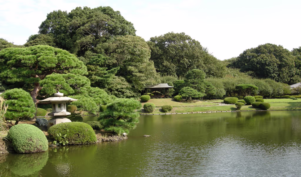 Tokyo Private Tour - 6. Shinjuku-gyoen Garden