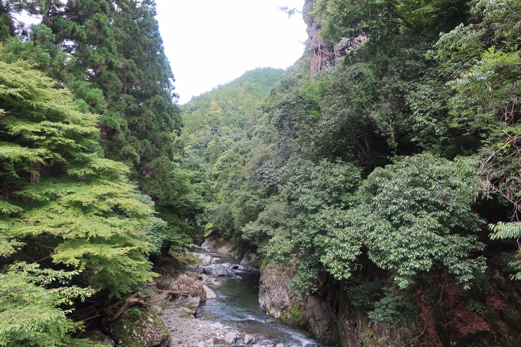 Kyoto Private Tour - Kin-un kei gorge(3)