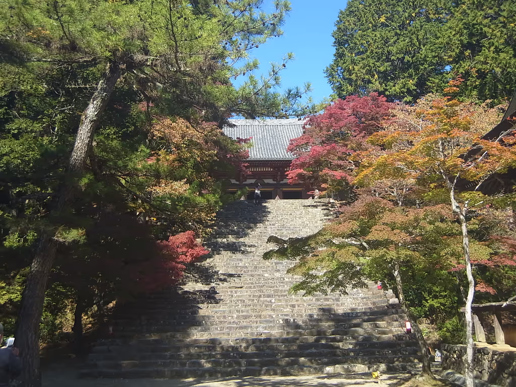 Kyoto Private Tour - Jingoji Temple in Takao area, It's very very famous for beautiful autumn leaves.