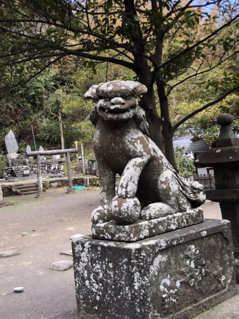 Kanagawa Private Tour - null