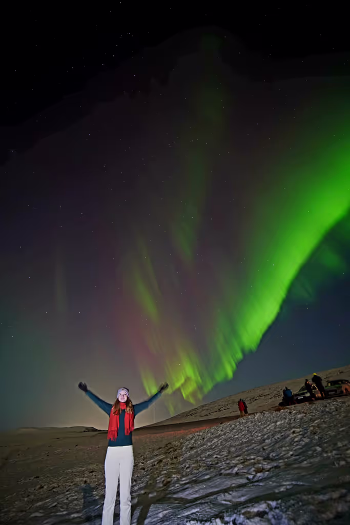 Reykjavik Private Tour - 