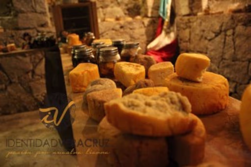 Mexico City Private Tour - Tour of Cheese Tour