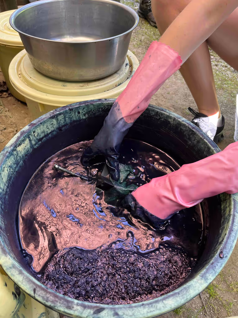 Gifu Private Tour - Séance de teinture
