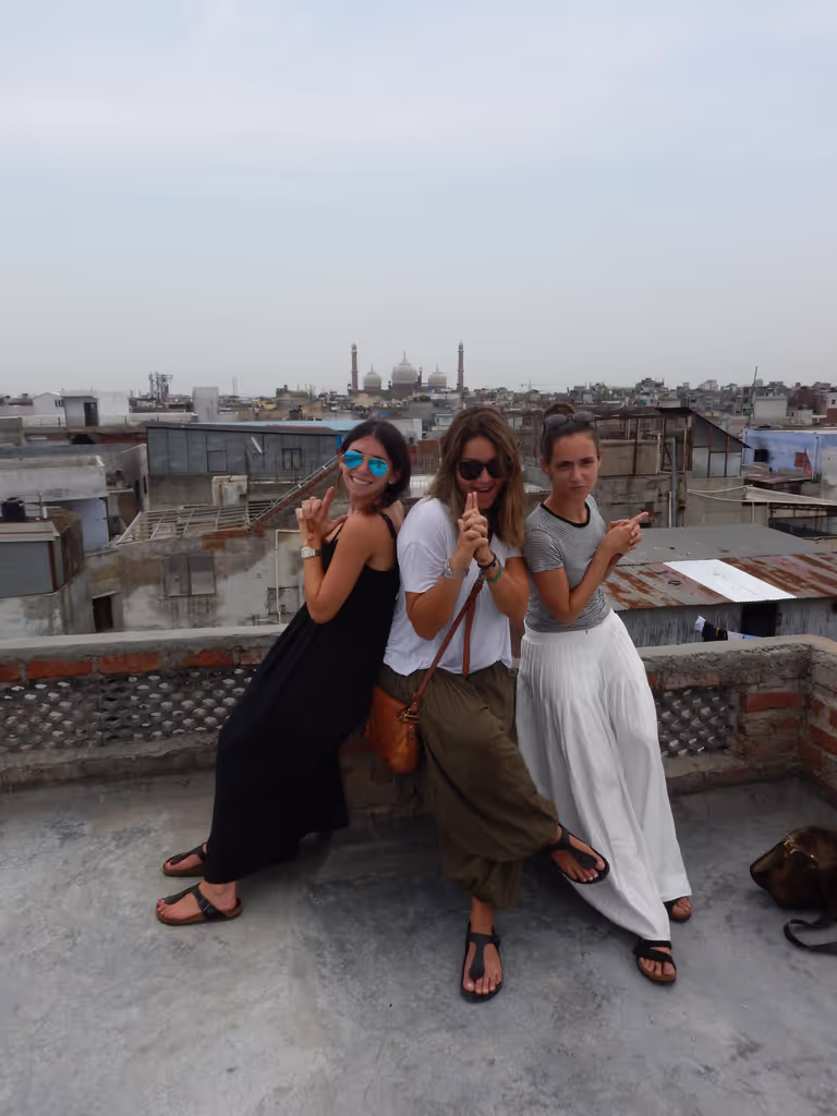 Delhi Private Tour - Views of Old Delhi