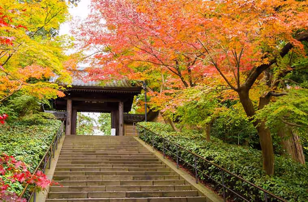 Kamakura Private Tour - Engakuji Temple in autumn