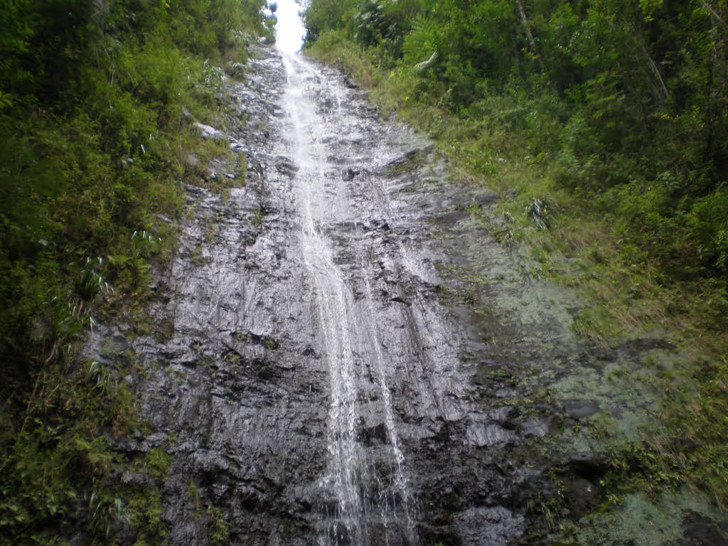 Honolulu Private Tour - Epic height of Manoa Falls