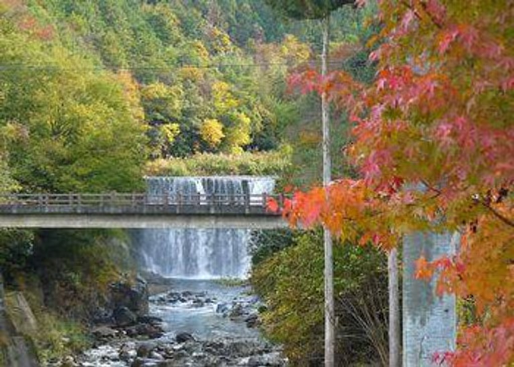 Gifu Private Tour - Pont d'OCHIAI