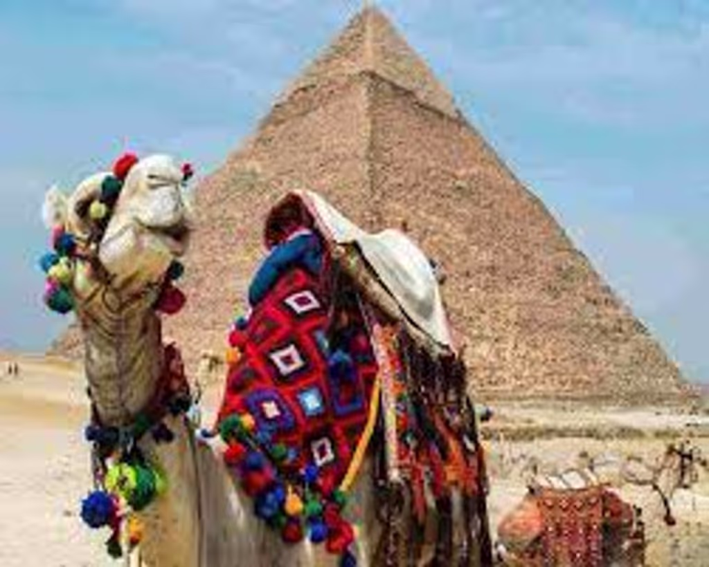 Cairo Private Tour - null
