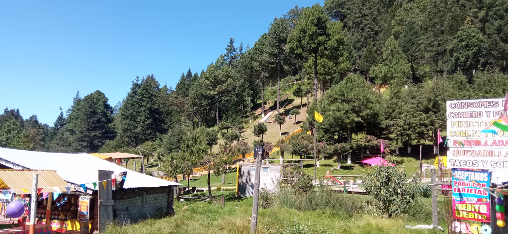 Mexico City Private Tour - A day of conviction with nature.
