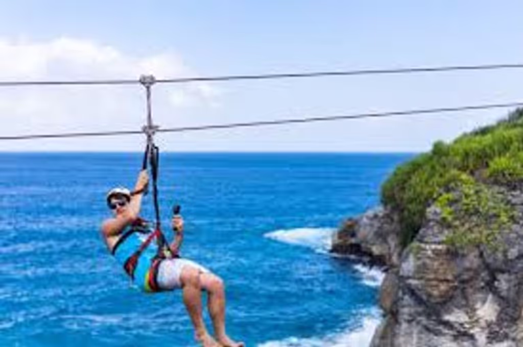 Western Cape Private Tour - Longest zipline over water