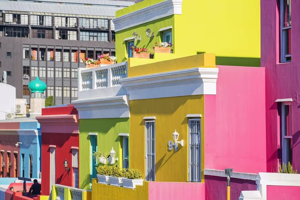 Cape Town Private Tour - null