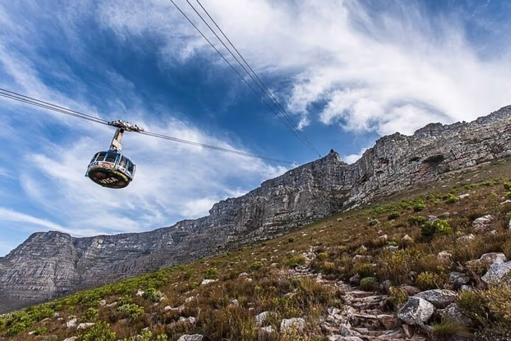 Cape Town Private Tour - null