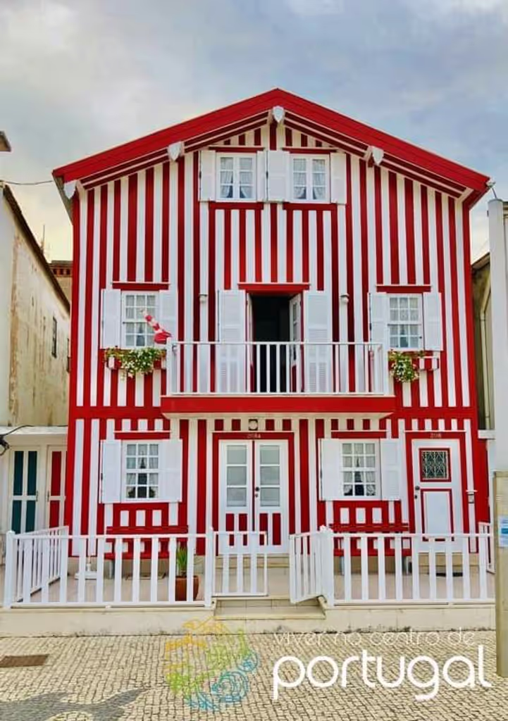 Aveiro Private Tour - null