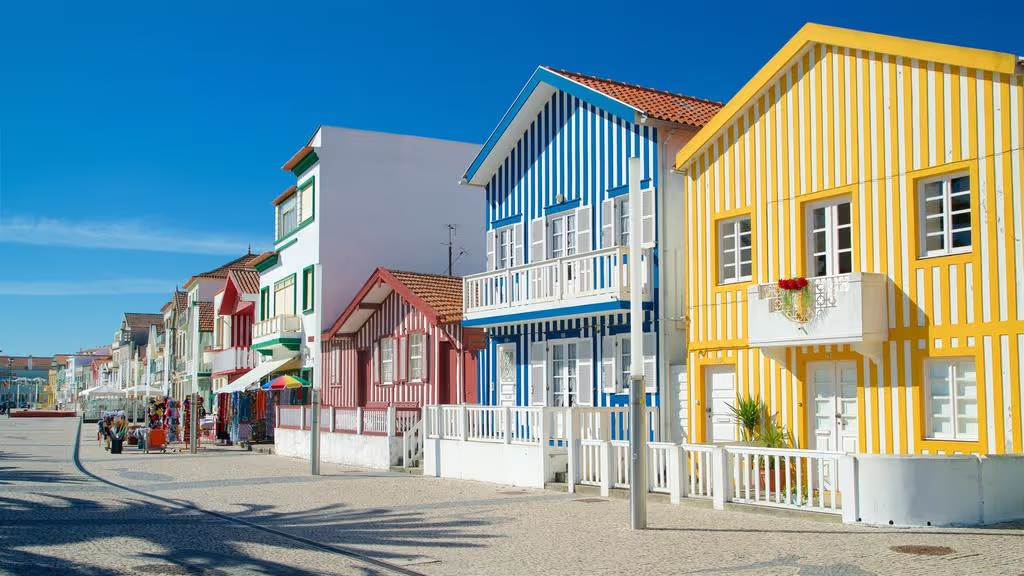 Aveiro Private Tour - null