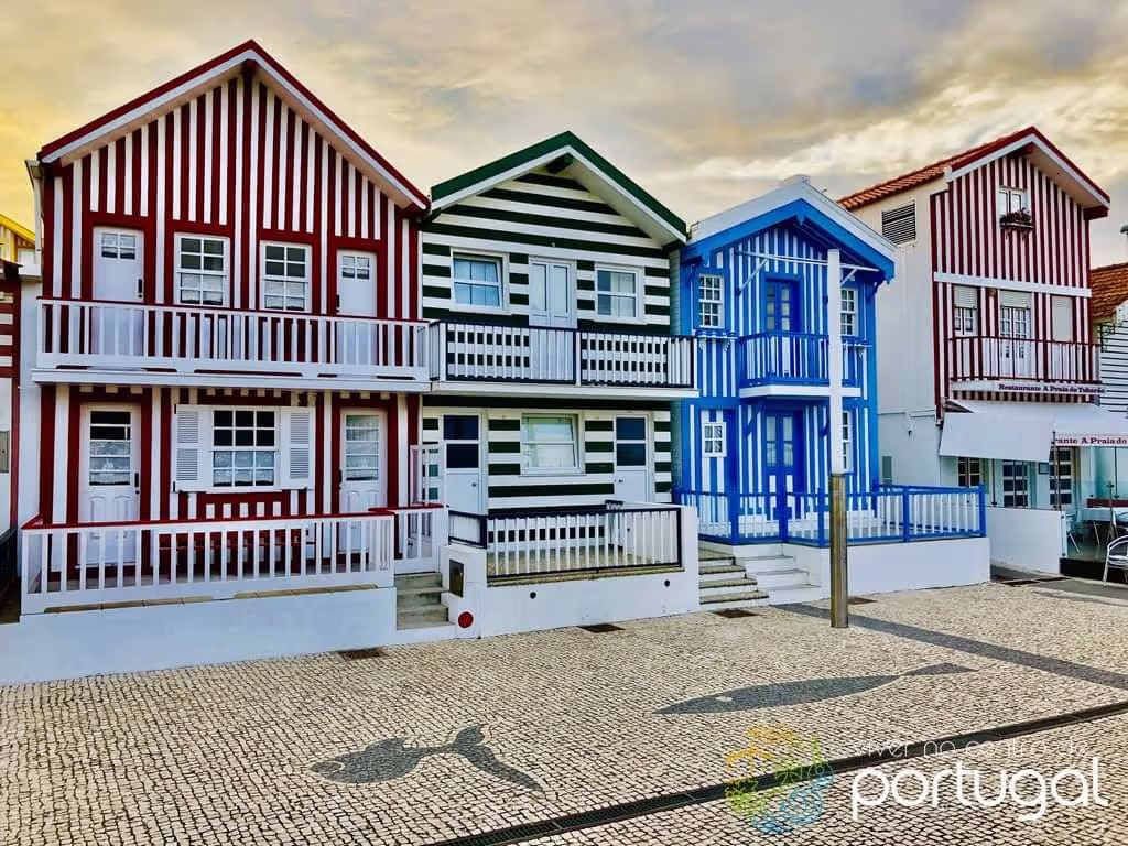 Aveiro Private Tour - null
