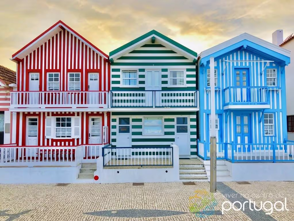 Aveiro Private Tour - null