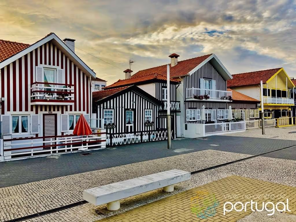 Aveiro Private Tour - null