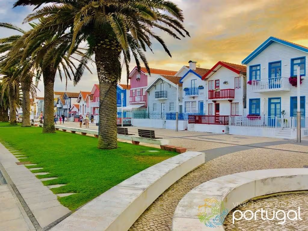Aveiro Private Tour - null