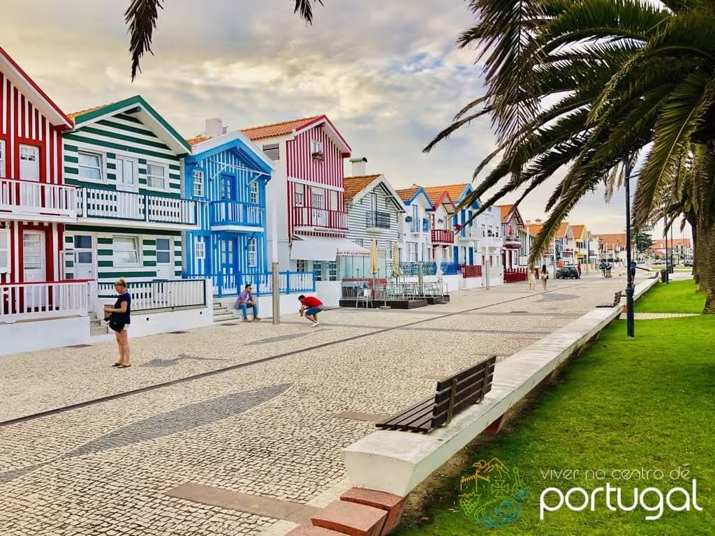 Aveiro Private Tour - null