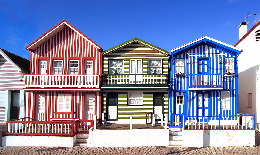 Aveiro Private Tour - null