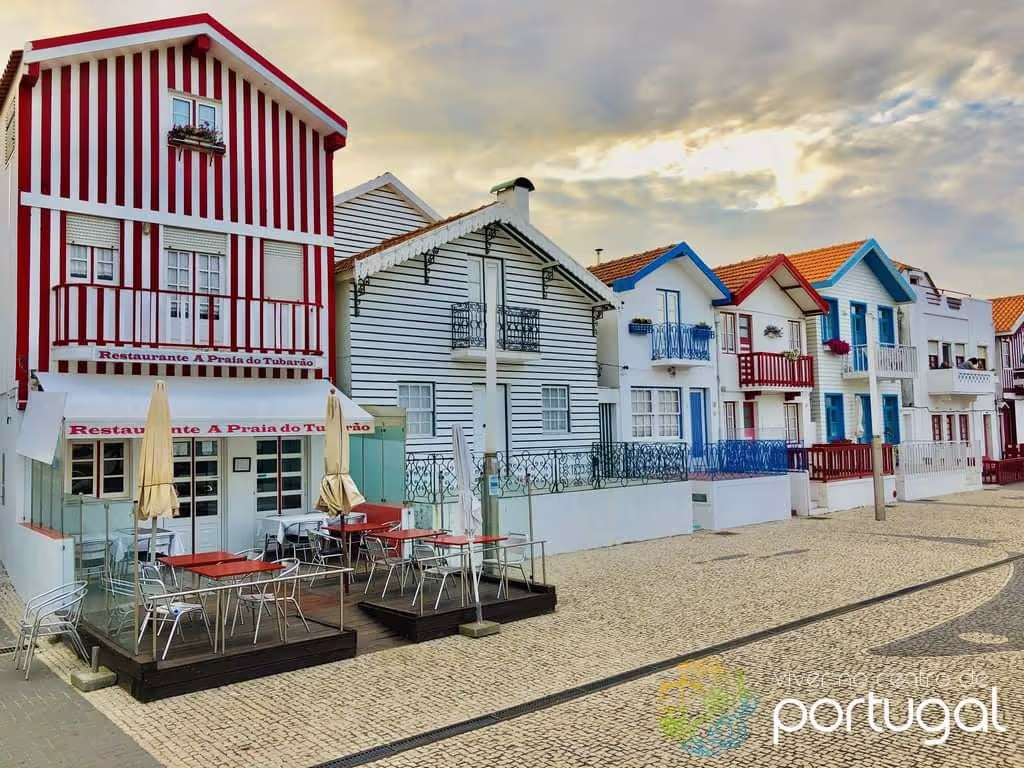 Aveiro Private Tour - null