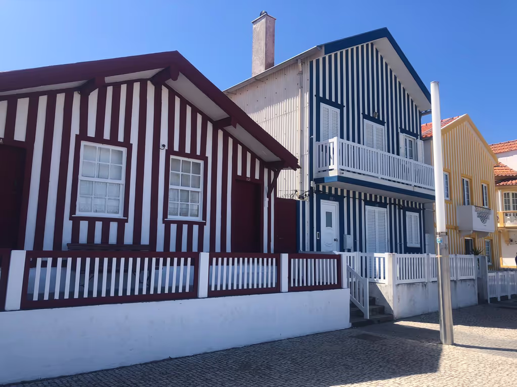 Aveiro Private Tour - null