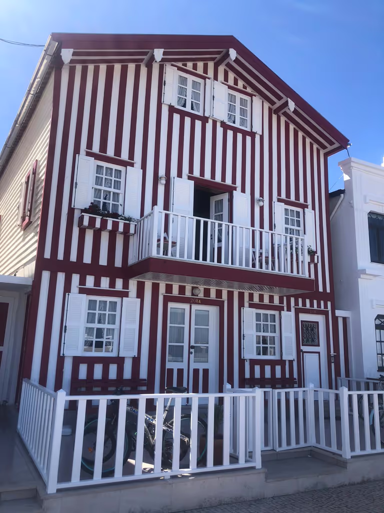 Aveiro Private Tour - null