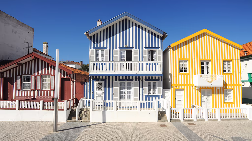 Aveiro Private Tour - null