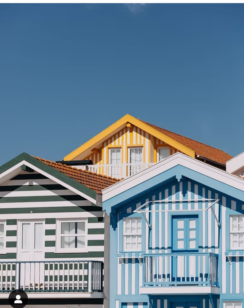 Aveiro Private Tour - null