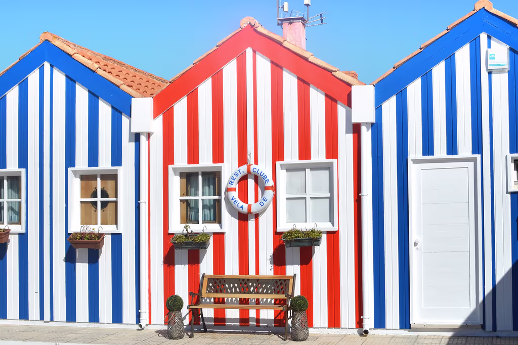 Aveiro Private Tour - null