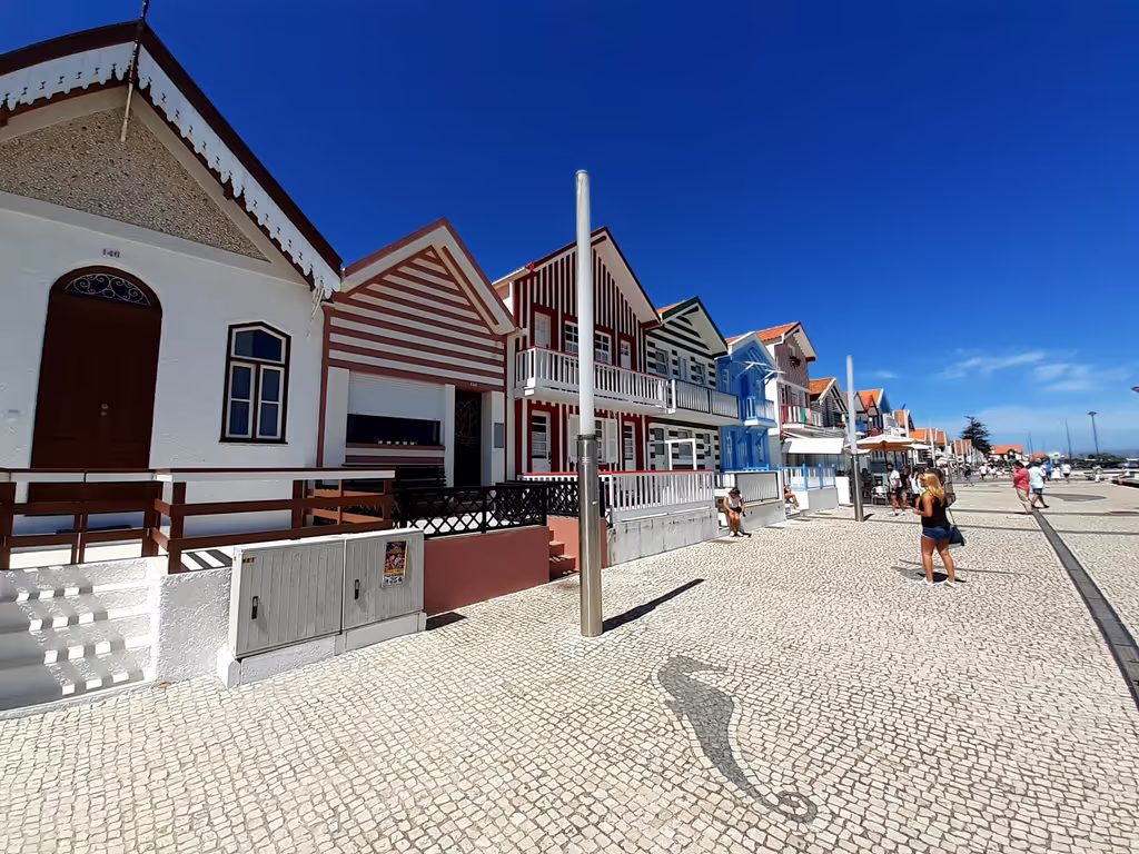 Aveiro Private Tour - null