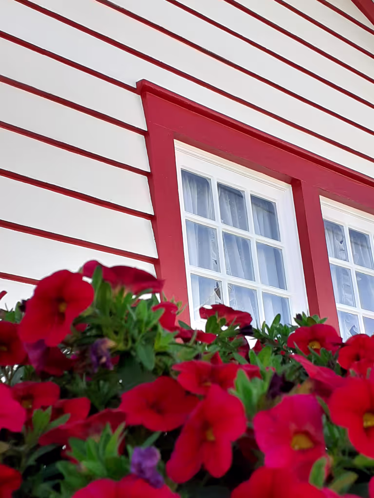 Aveiro Private Tour - null