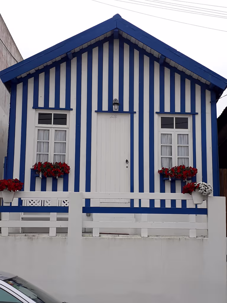 Aveiro Private Tour - null